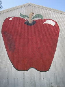 Apple  shed